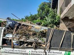 Best Attic Cleanout  in Paulden, AZ